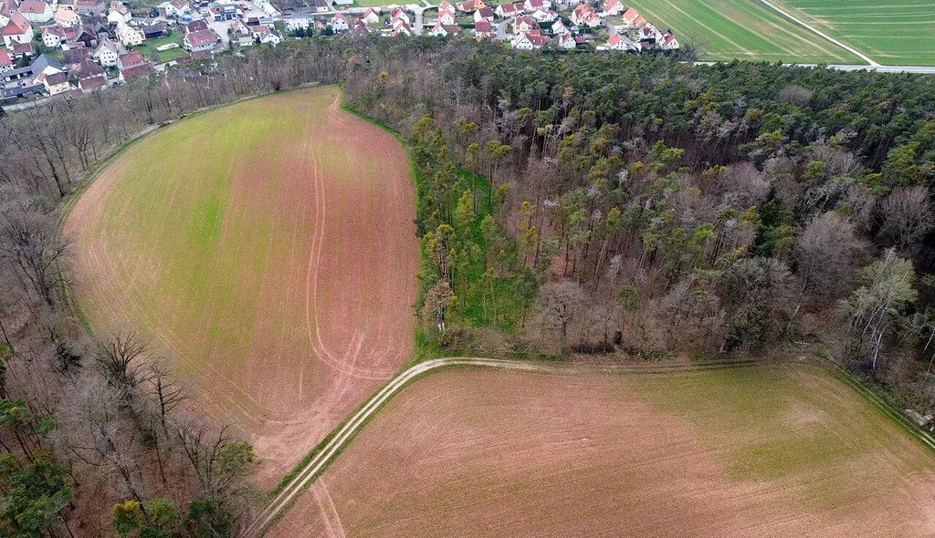 Luftbild des Burgstalls Bürglein aus Richtung Osten.