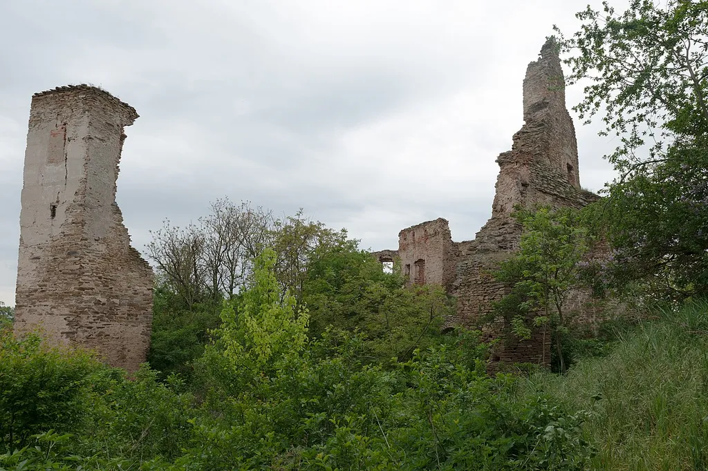 Wikitown Hustopeče: Žerotice