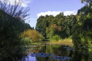 Park of Saint Petersburg State Forestry Academy