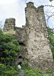 Burg Rheinberg