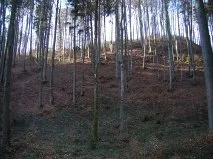 Burgstall Bergheim (Innviertel)