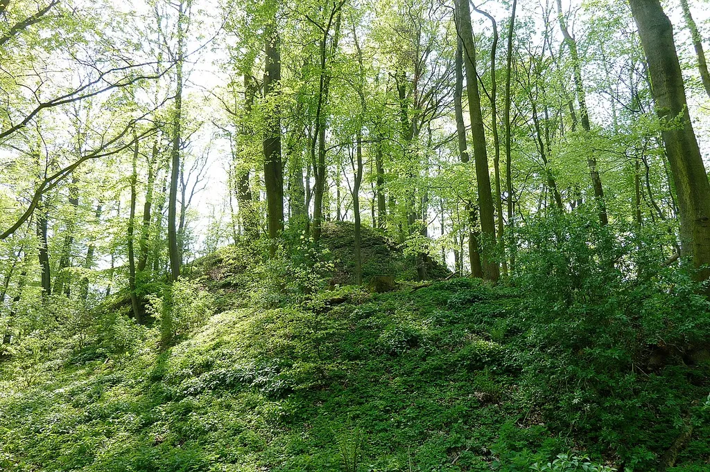 Blick von Norden auf Wall, Graben und den Burghügel der Alten Niedeck, einer Höhenburg aus dem 13. Jahrhundert auf dem Kronenberg bei Niedeck, Gemeinde Gleichen, Südniedersachsen. Die Burg zerfiel zu Beginn des 17. Jahrhunderts, erhalten sind Gräben, Wälle und Versturzhügel, aber keine oberirdischen Mauerreste