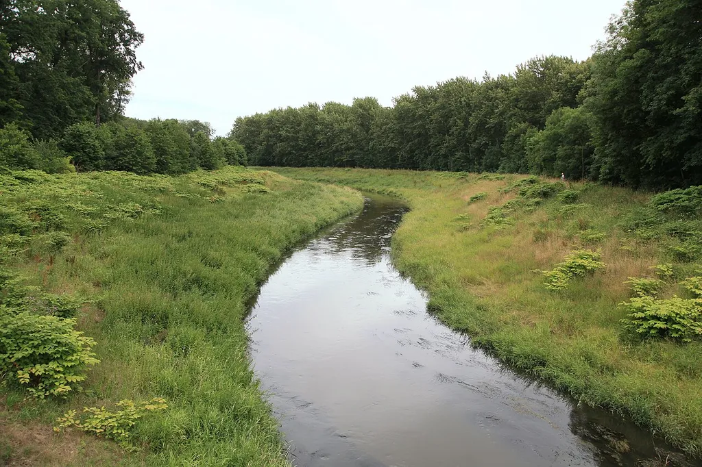 Burgaue