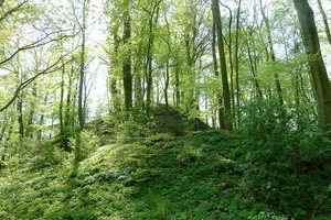 Alte Niedeck