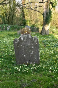 Canterbury Headstone Approximately 4 Metres East Of Chancel Of Church Of St Petrock