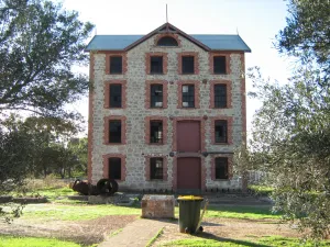 Dongara