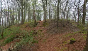 Burg Hohenrode