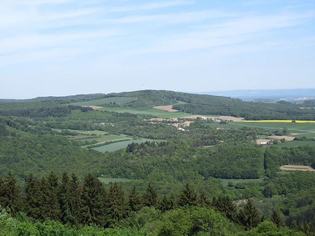 Der Gänsehals (575 m) in der Eifel von Süden (Aussichtsturm auf dem Hochsimmer)