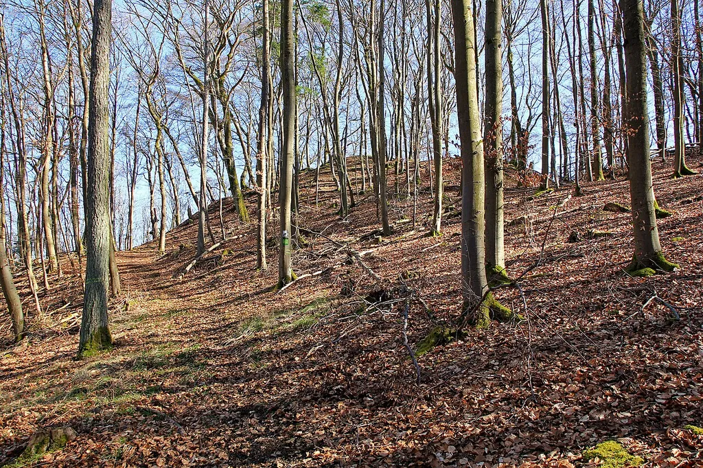 Burg Hollende bei Wetter, Hessen: Burghügel. Ansicht von Westen.
