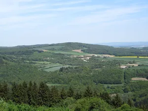 Gänsehals, Schorenberg, Burgberg und Schmitzkopf