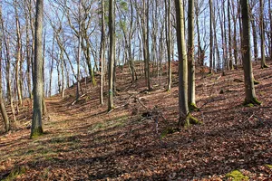 Castle Hollende