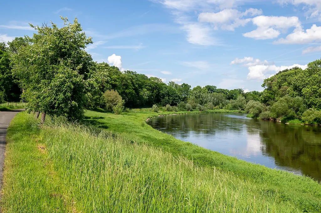 Weserufer im Naturschutzgebiet Tonenburg und Saumermündung bei Höxter-Albaxen