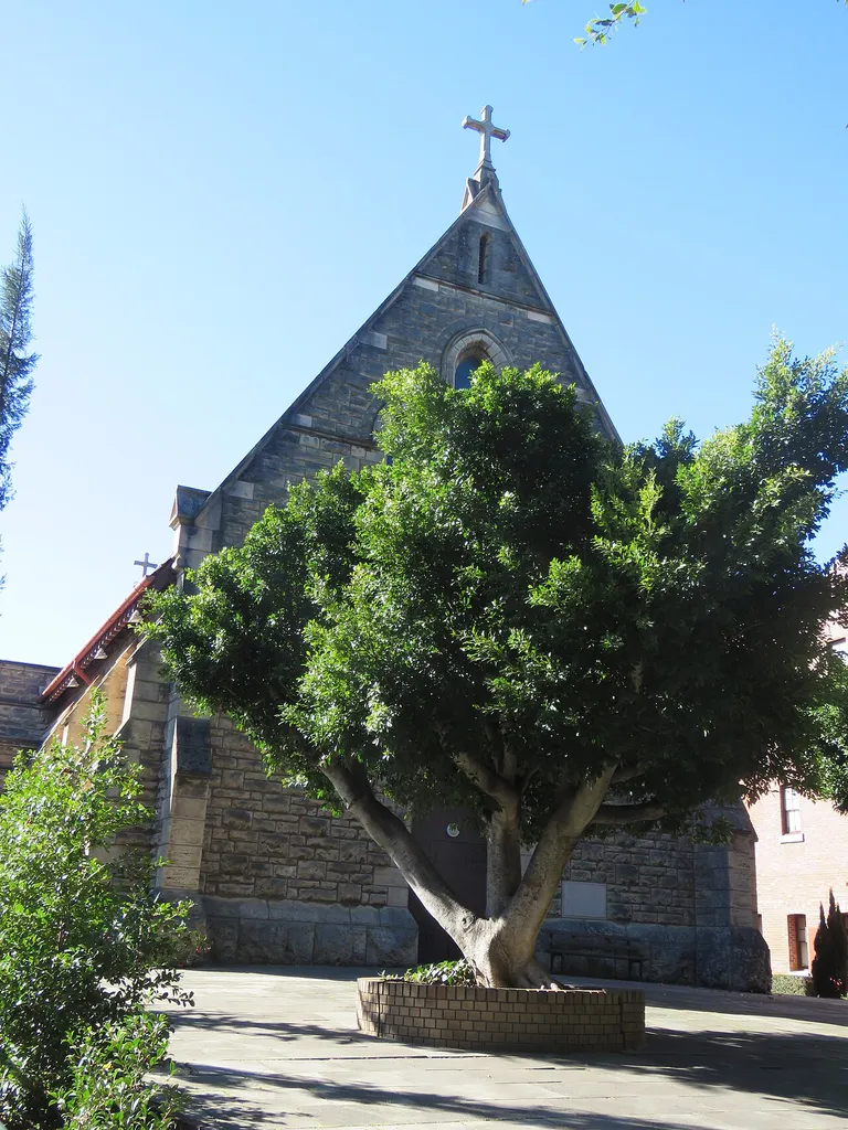 The state heritage listed Sacred Heart Church, Highgate, Western Australia.
