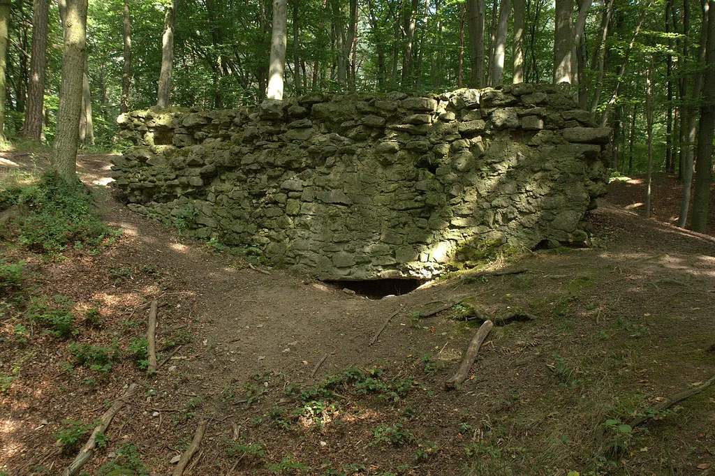 Burgstall Schauerberg - Letzter größerer Mauerrest der Burganlage
