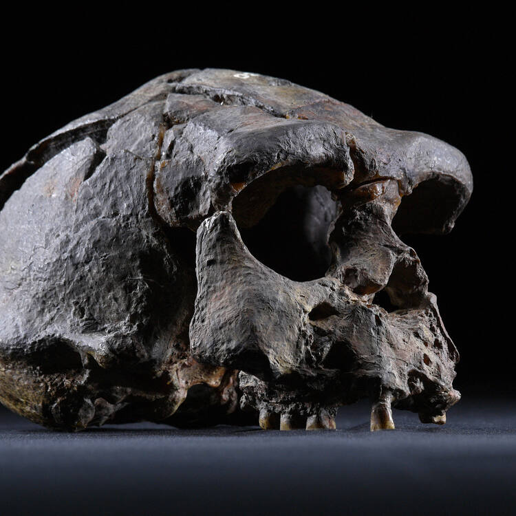 Sangiran Early Man Site