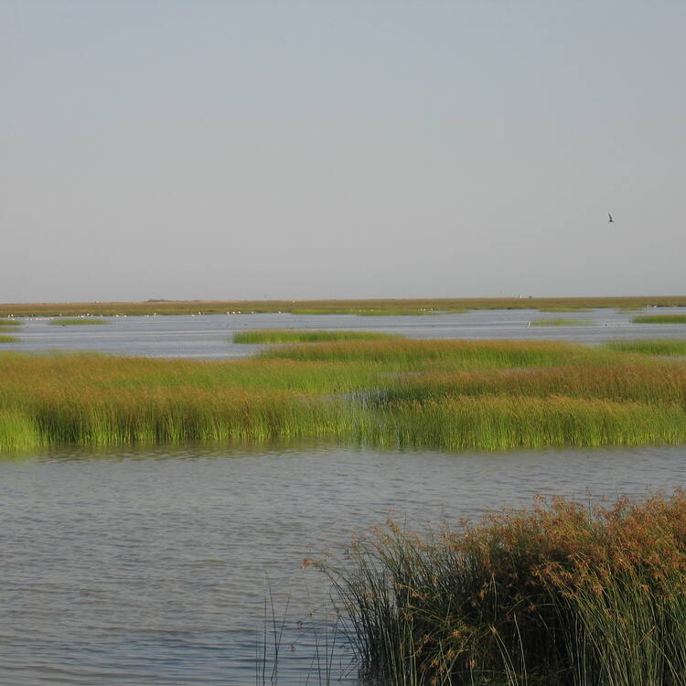Doñana National Park