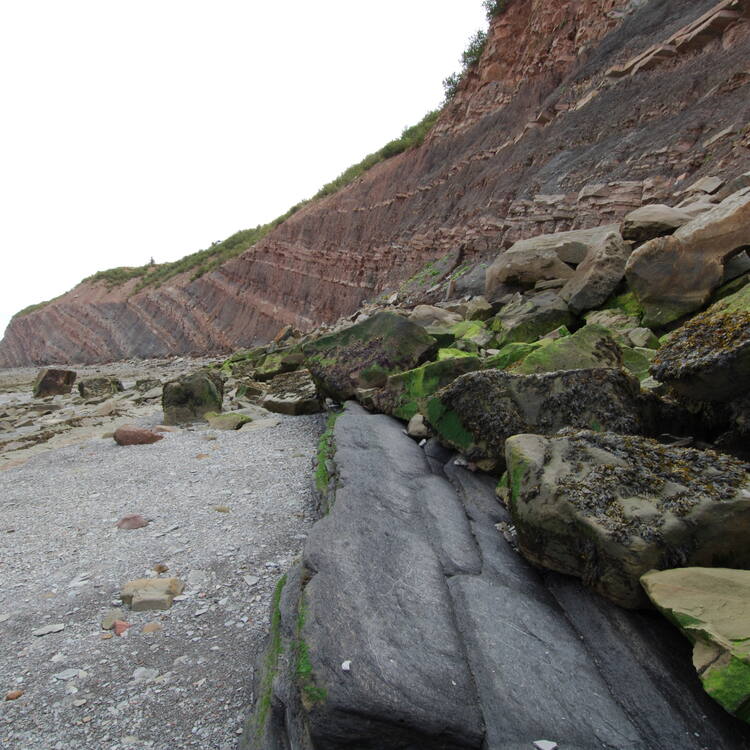 Joggins Fossil Cliffs
