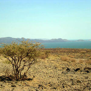 Lower Valley of the Omo