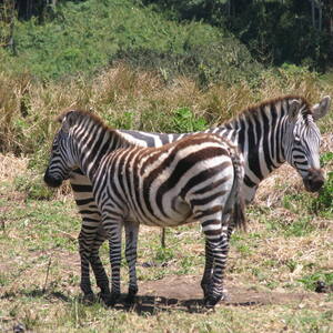 Serengeti National Park