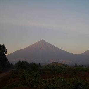 Bwindi Impenetrable National Park