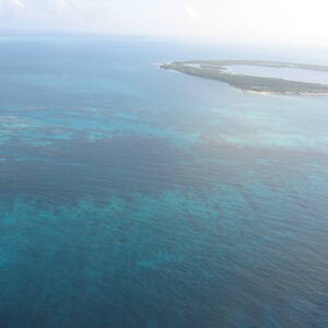Belize Barrier Reef Reserve System