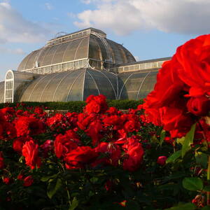 Royal Botanic Gardens, Kew