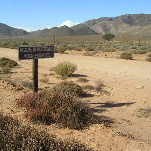Richtersveld Cultural and Botanical Landscape